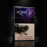 Kent Nano Click Purple
