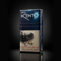 Kent Switch Compact green